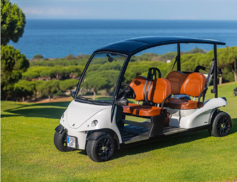 Emergency or starting power supply for automobile, power sport marine, ATV, or other powersports vehicles that demand a high-power discharging characteristic.
